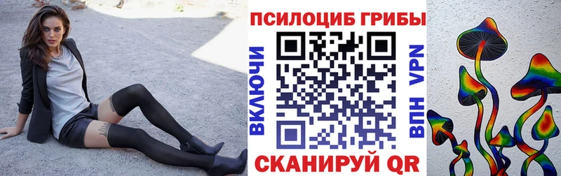 наркота  Новозыбков  Псилоцибиновые грибы мухоморы 